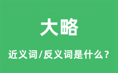 大略的近义词和反义词是什么_大略是什么意思?
