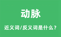动脉的近义词和反义词是什么_动脉是什么意思?