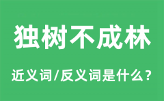 独树不成林的近义词和反义词是什么_独树不成林是什么意思?