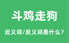 斗鸡走狗的近义词和反义词是什么_斗鸡走狗是什么意思?