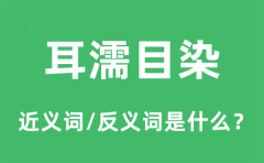 耳濡目染的近义词和反义词是什么_耳濡目染是什么意思?