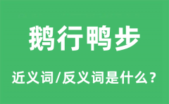 鹅行鸭步的近义词和反义词是什么_鹅行鸭步是什么意思?
