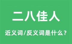<b>二八佳人的近义词和反义词是什么_二八佳人是什么意思?</b>