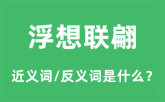 浮想联翩的近义词和反义词是什么_浮想联翩是什么意思?
