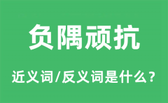 负隅顽抗的近义词和反义词是什么_负隅顽抗是什么意思?