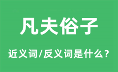 凡夫俗子的近义词和反义词是什么_凡夫俗子是什么意思?