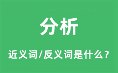 分析的近义词和反义词是什么_分析是什么意思?