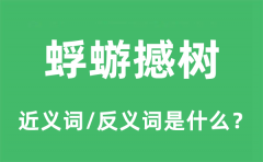 蜉蝣撼树的近义词和反义词是什么_蜉蝣撼树是什么意思?