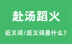 赴汤蹈火的近义词和反义词是什么_赴汤蹈火是什么意思?