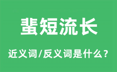 蜚短流长的近义词和反义词是什么_蜚短流长是什么意思?