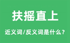 扶摇直上的近义词和反义词是什么_扶摇直上是什么意思?