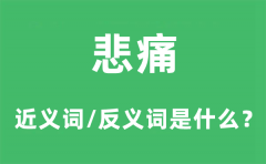 悲痛的近义词和反义词是什么_悲痛是什么意思?