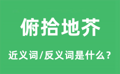 俯拾地芥的近义词和反义词是什么_俯拾地芥是什么意思?