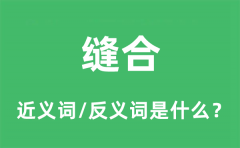 缝合的近义词和反义词是什么_缝合是什么意思?