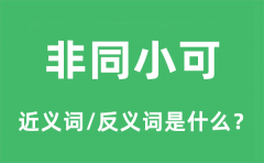 非同小可的近义词和反义词是什么_非同小可是什么意思?