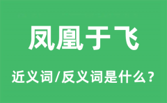 凤凰于飞的近义词和反义词是什么_凤凰于飞是什么意思?