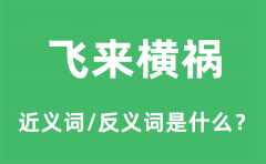 飞来横祸的近义词和反义词是什么_飞来横祸是什么意思?