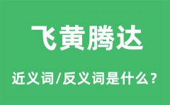 <b>飞黄腾达的近义词和反义词是什么_飞黄腾达是什么意思?</b>