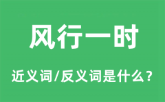 风行一时的近义词和反义词是什么_风行一时是什么意思?