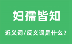妇孺皆知的近义词和反义词是什么_妇孺皆知是什么意思?
