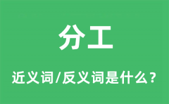 分工的近义词和反义词是什么_分工是什么意思?
