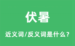 伏暑的近义词和反义词是什么_伏暑是什么意思?