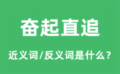 奋起直追的近义词和反义词是什么_奋起直追是什么意思?