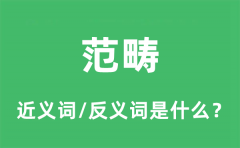范畴的近义词和反义词是什么_范畴是什么意思?