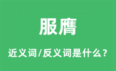 服膺的近义词和反义词是什么_服膺是什么意思?