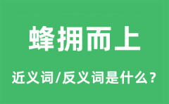 蜂拥而上的近义词和反义词是什么_蜂拥而上是什么意思?