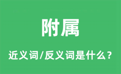 附属的近义词和反义词是什么_附属是什么意思?