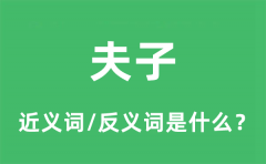 夫子的近义词和反义词是什么_夫子是什么意思?
