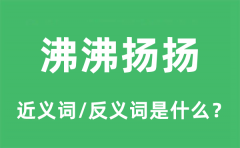沸沸扬扬的近义词和反义词是什么_沸沸扬扬是什么意思?