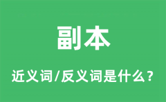 副本的近义词和反义词是什么_副本是什么意思?