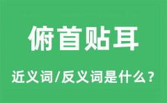 俯首贴耳的近义词和反义词是什么_俯首贴耳是什么意思?