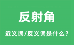 反射角的近义词和反义词是什么_反射角是什么意思?