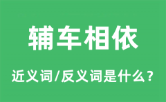 辅车相依的近义词和反义词是什么_辅车相依是什么意思?