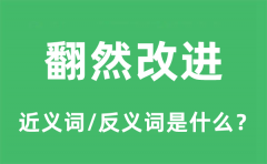 翻然改进的近义词和反义词是什么_翻然改进是什么意思?