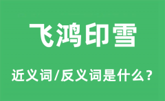 飞鸿印雪的近义词和反义词是什么_飞鸿印雪是什么意思?