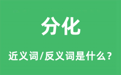 分化的近义词和反义词是什么_分化是什么意思?