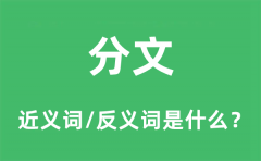 分文的近义词和反义词是什么_分文是什么意思?