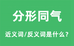 分形同气的近义词和反义词是什么_分形同气是什么意思?