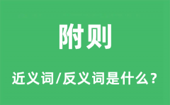 附则的近义词和反义词是什么_附则是什么意思?