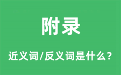 附录的近义词和反义词是什么_附录是什么意思?