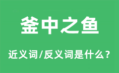 釜中之鱼的近义词和反义词是什么_釜中之鱼是什么意思?
