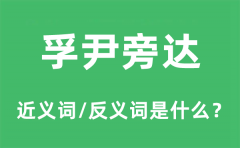 孚尹旁达的近义词和反义词是什么_孚尹旁达是什么意思?