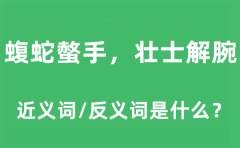 蝮蛇螫手，壮士解腕的近义词和反义词是什么_蝮蛇螫手，壮士解腕是什么意思