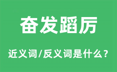 奋发蹈厉的近义词和反义词是什么_奋发蹈厉是什么意思?