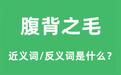腹背之毛的近义词和反义词是什么_腹背之毛是什么意思?