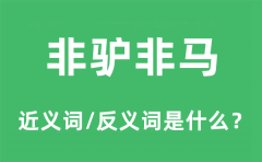 非驴非马的近义词和反义词是什么_非驴非马是什么意思?